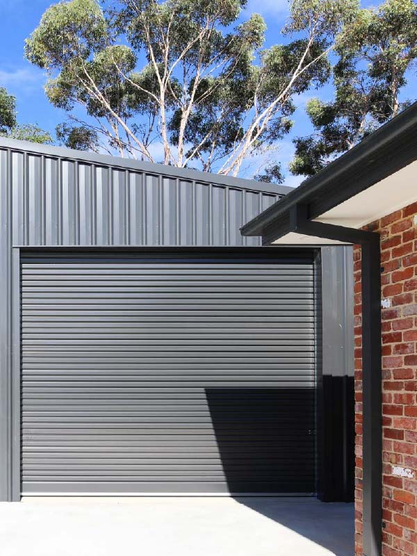 Seniors shed